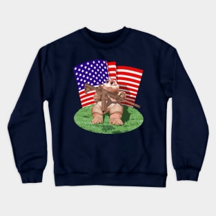 Baby Sinclair 'Murica Crewneck Sweatshirt